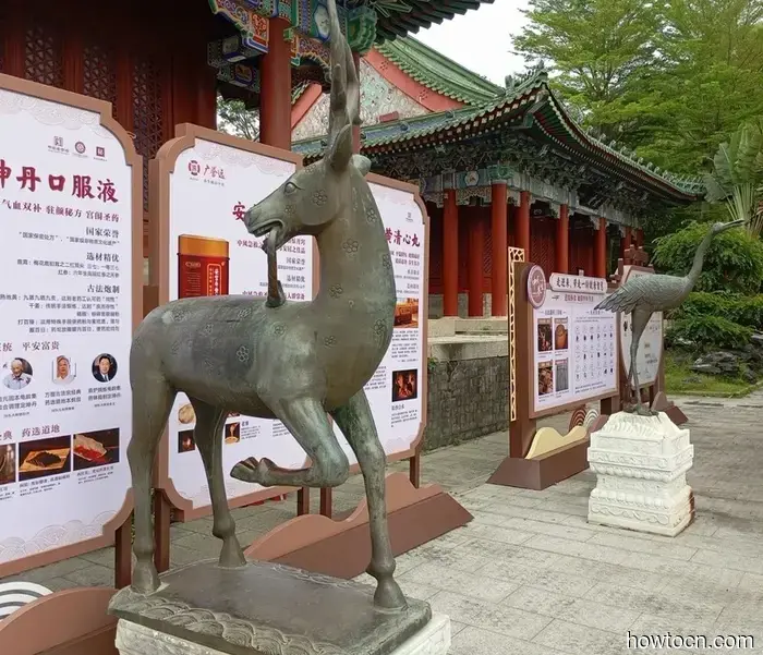 Desearía que pudiéramos quedarnos más tiempo. - Macao y China.