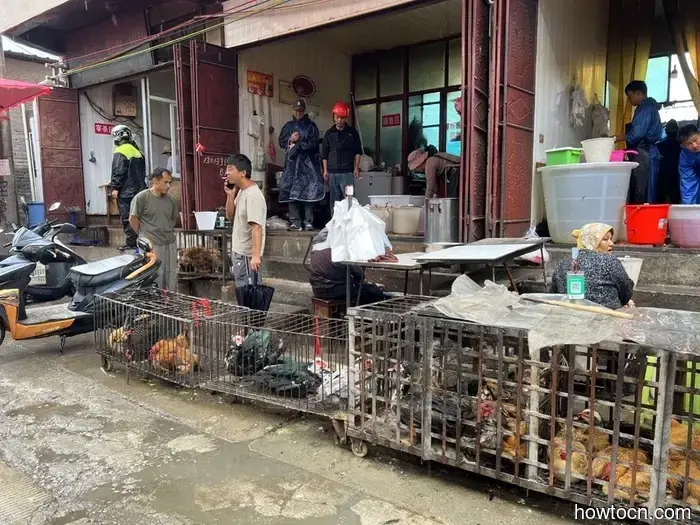 Pioneering New Paths in China: Xizhou and Shuanglang - Emerging Discoverers