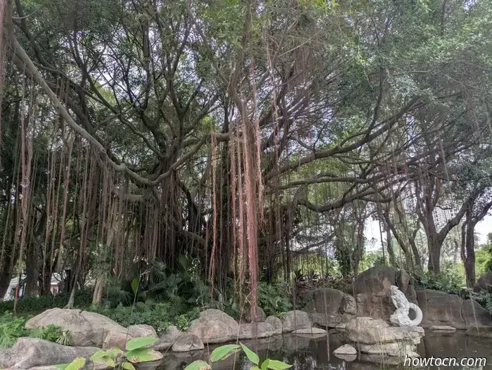 Xiamen - Autumn 2025