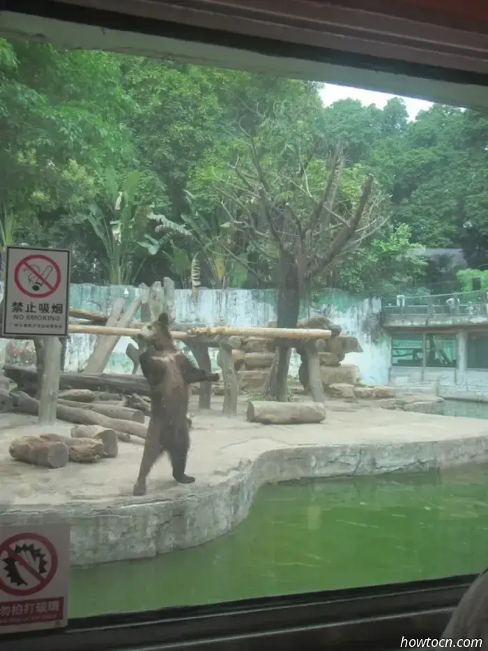 Guangzhou Zoo und Ozeanwelt - Keine feste Adresse