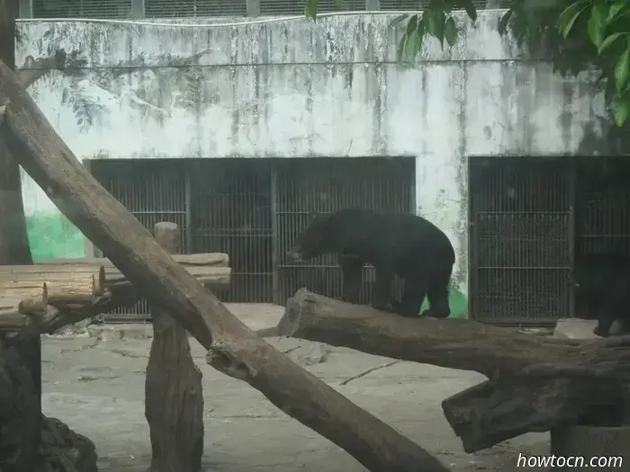 Guangzhou Zoo und Ozeanwelt - Keine feste Adresse