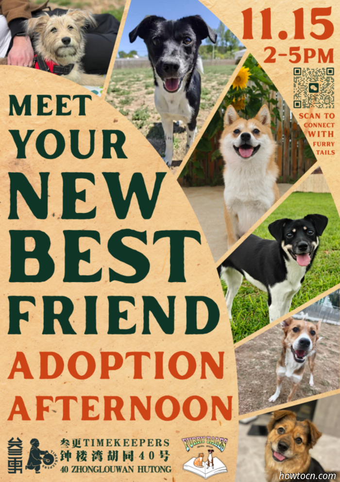 Veranstaltungen und Ereignisse im 'Jing an diesem Wochenende (14.–16. Nov.)