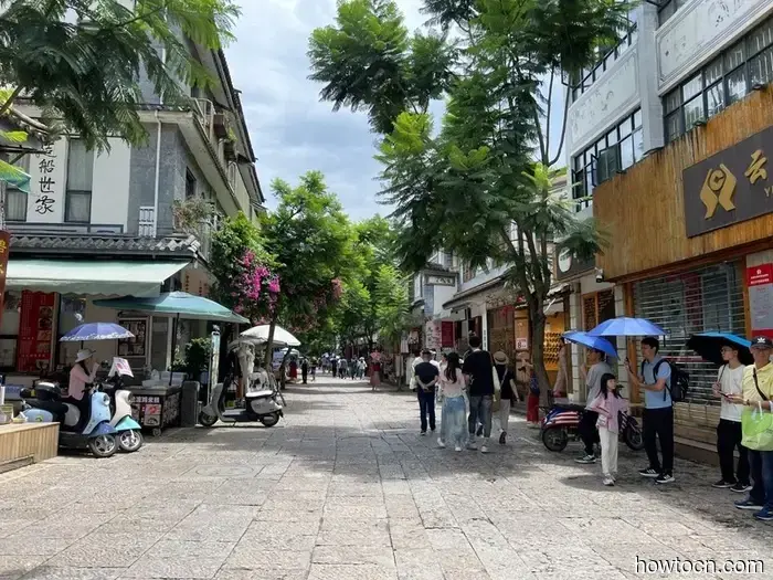 Pioneering New Paths in China: Xizhou and Shuanglang - Emerging Discoverers