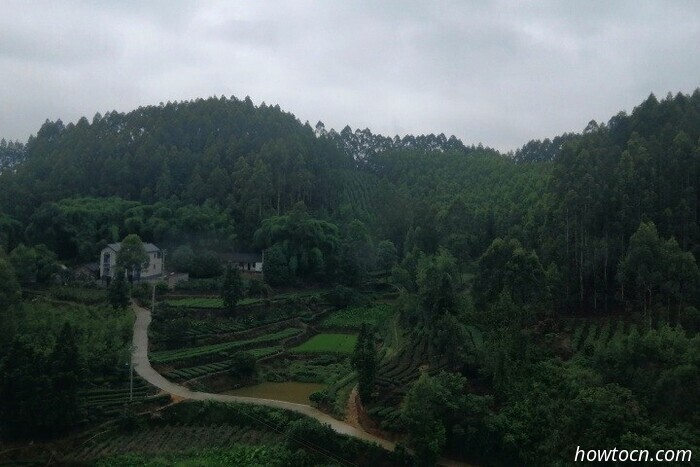 2023 - China (Cuarta parte: Emei Shan y Chengdu) - Blog de viajes de Glynn