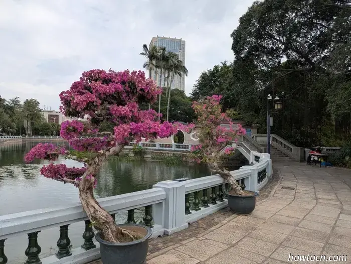 Xiamen - Autumn 2025