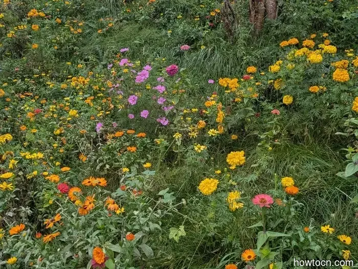 Xining - Otoño de 2025 e Invierno de 2026