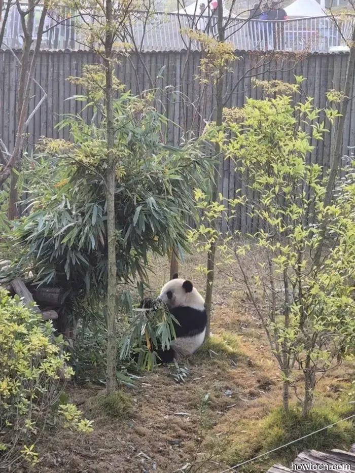 A brief view of the Himalayas - A quick return to Mainland China - hennaonthetrek