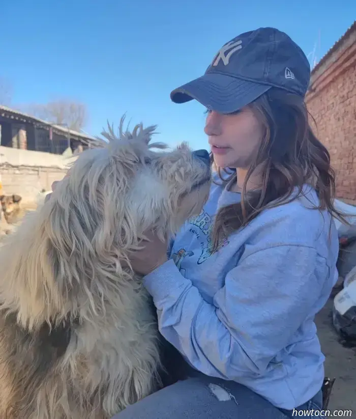 Feiern Sie über 300 Rettungen bei der Wohltätigkeitsgala von Furry Tales am 6. Dezember.