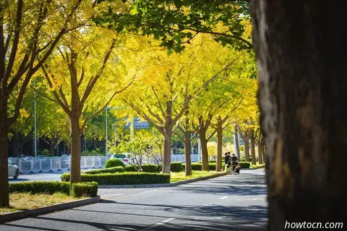 Mandarin Monday: 15 Key Words and Phrases for Autumn