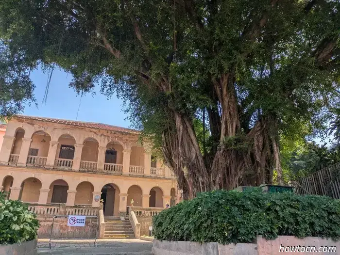 Xiamen - Autumn 2025