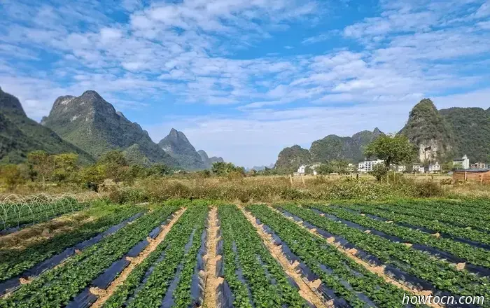 Изобильный Гуанси — радостные приключения