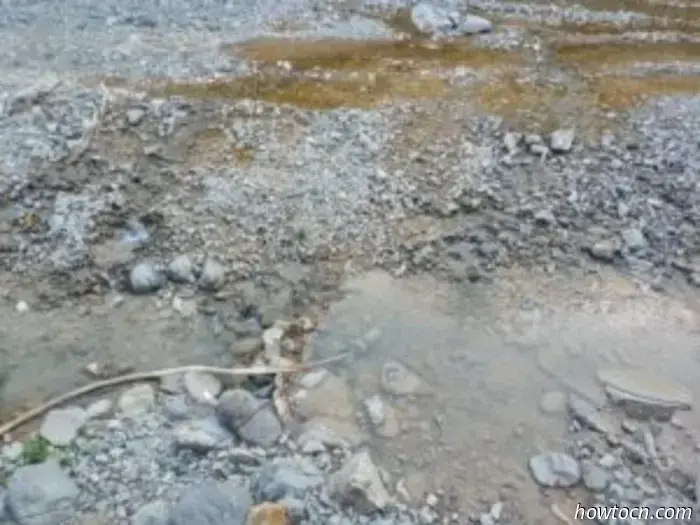 Wassersicherheit im ländlichen China: Der Blick aus einem Dorf in Zhejiang - The China Story