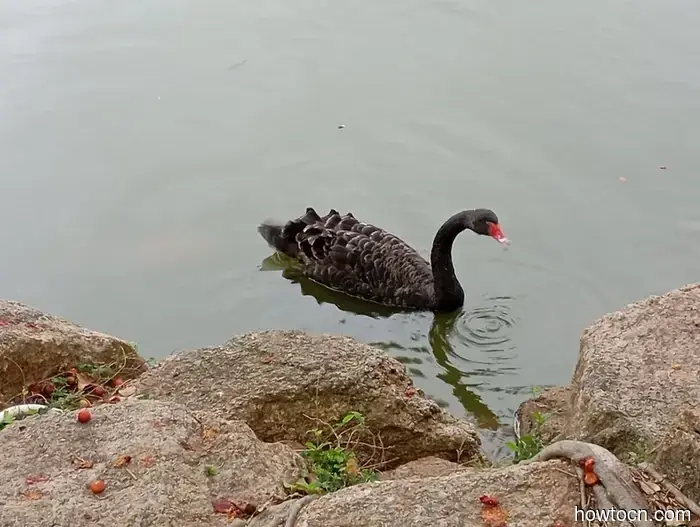 I wish we could extend our stay. - Macau and China.