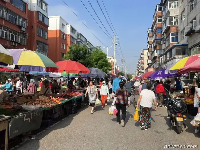 Открывая новые горизонты в Китае: парки Цзиньчжоу — юные исследователи