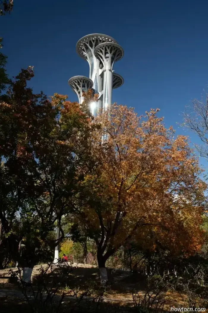 Il meglio di Pechino nelle foto dei lettori: fogliame autunnale