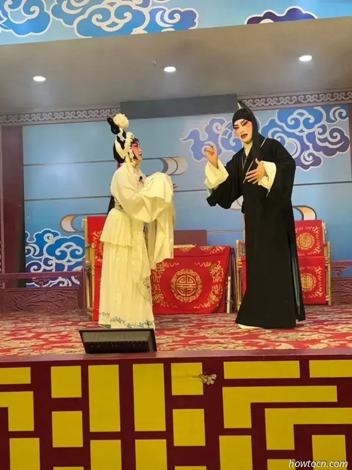 Panda Park e treno per Chongqing-Cina Visita 17-28 giugno 2025