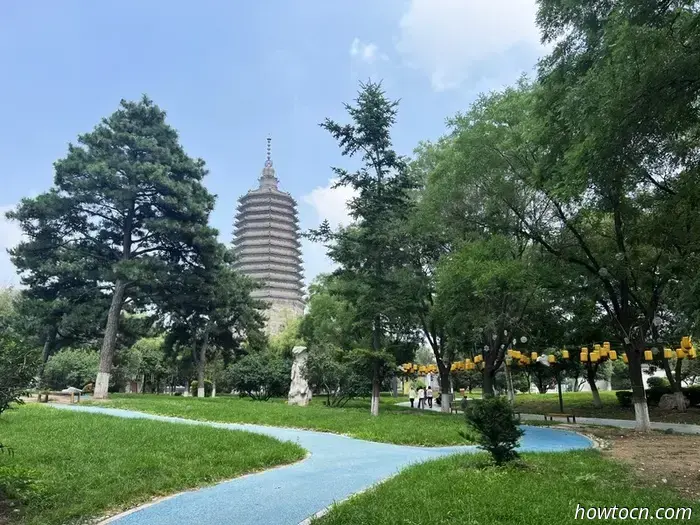 Открывая новые горизонты в Китае: парки Цзиньчжоу — юные исследователи