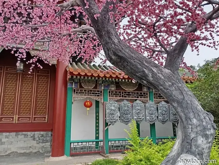 Vorrei che potessimo restare più a lungo. - Macao e Cina.