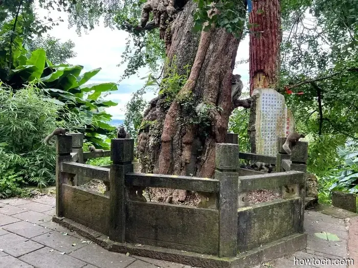 Neuland in China betreten: Markt und Berge von Kunming - Nachwuchs-Entdecker