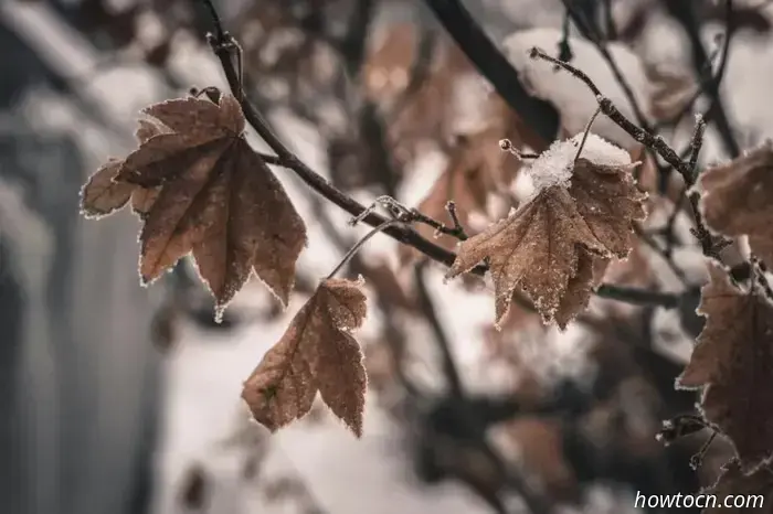 Mandarin Monday: 15 Key Words and Phrases for Autumn