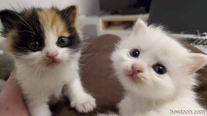 Events and Activities in the 'Jing This Weekend (March 13-15)