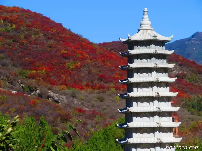 Лучшее из Пекина в фотографиях читателей: осенняя листва