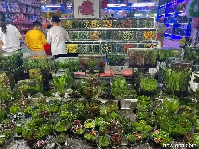 Pioneering New Paths in China: Kunming - Emerging Adventurers