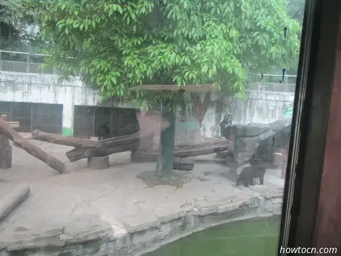 Guangzhou Zoo und Ozeanwelt - Keine feste Adresse