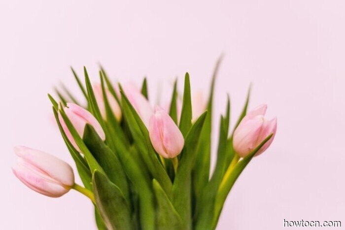 Three Key Events for the Upcoming Week in Beijing (March 9-15)