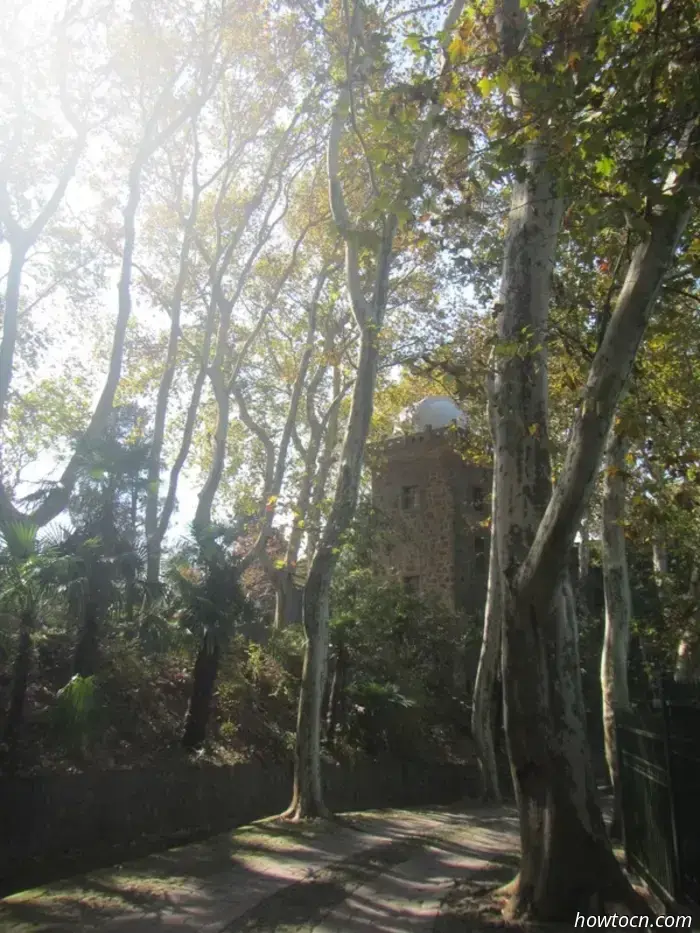 Gruta de Guanyin y Observatorio de la Montaña Púrpura - Sin dirección fija