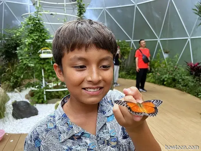 Pioneering New Opportunities in China: Dali Torch Festival - Emerging Adventurers