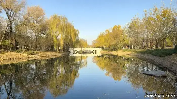 Il meglio di Pechino nelle foto dei lettori: fogliame autunnale