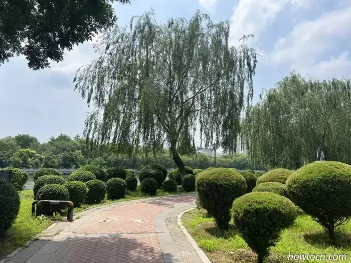 Открывая новые горизонты в Китае: парки Цзиньчжоу — юные исследователи