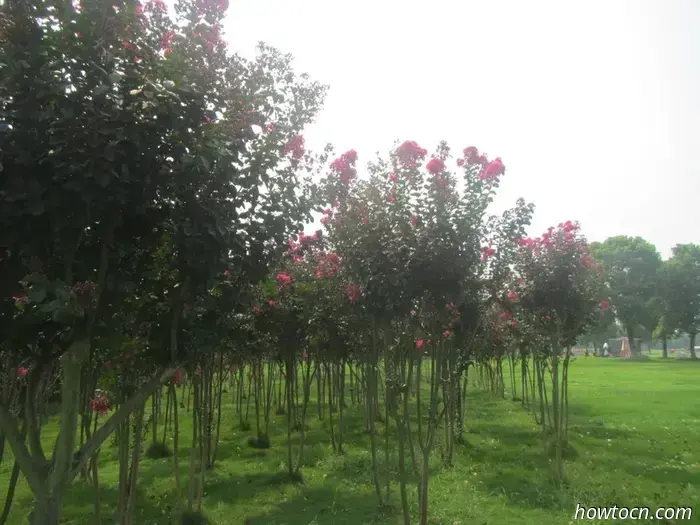 Gucheng Lake "Slow City" - Without a Permanent Location