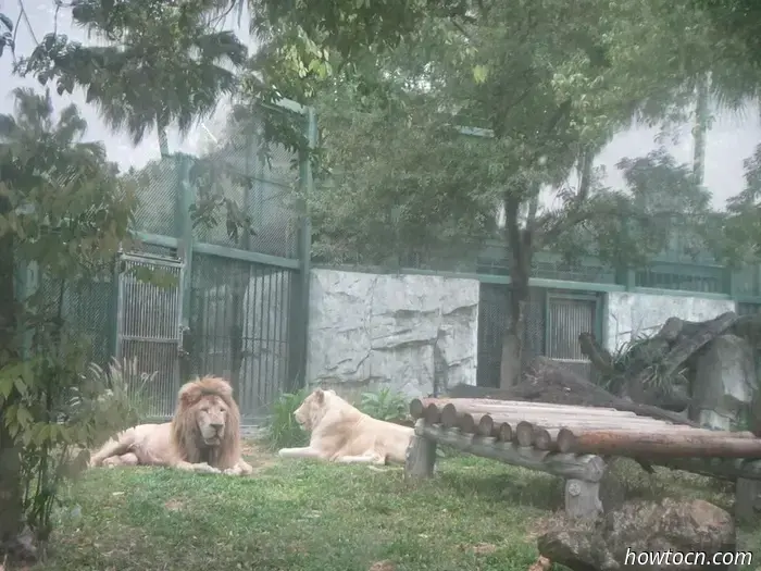 Guangzhou Zoo und Ozeanwelt - Keine feste Adresse