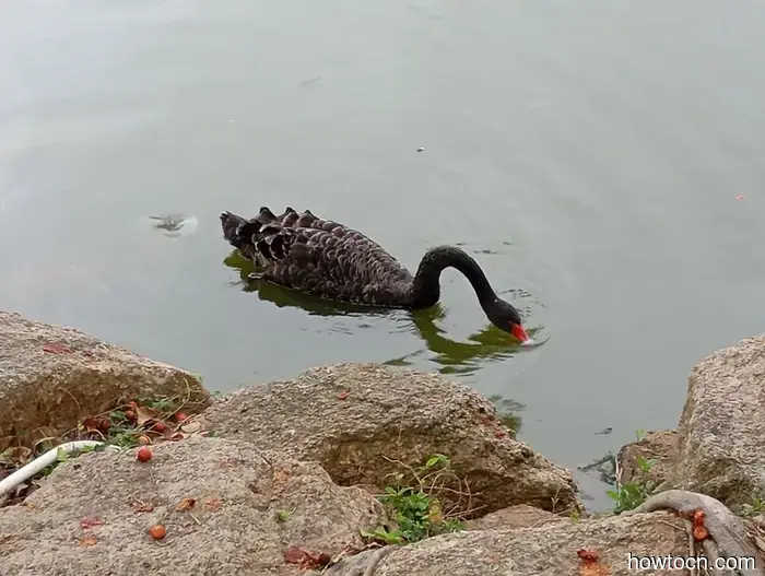 Vorrei che potessimo restare più a lungo. - Macao e Cina.