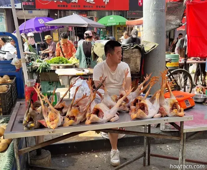 Открывая новые горизонты в Китае: парки Цзиньчжоу — юные исследователи