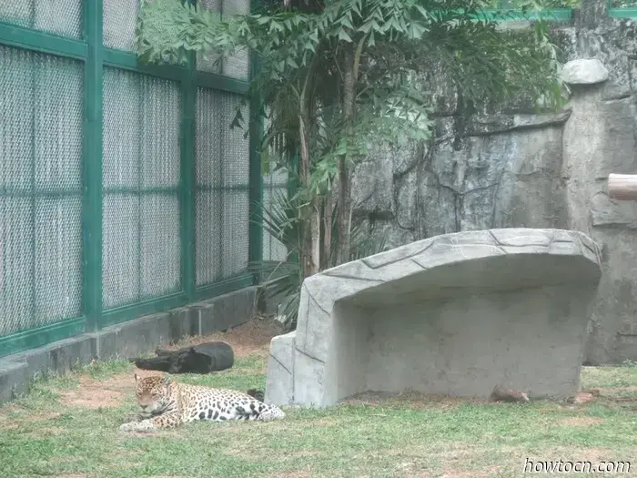 Guangzhou Zoo und Ozeanwelt - Keine feste Adresse