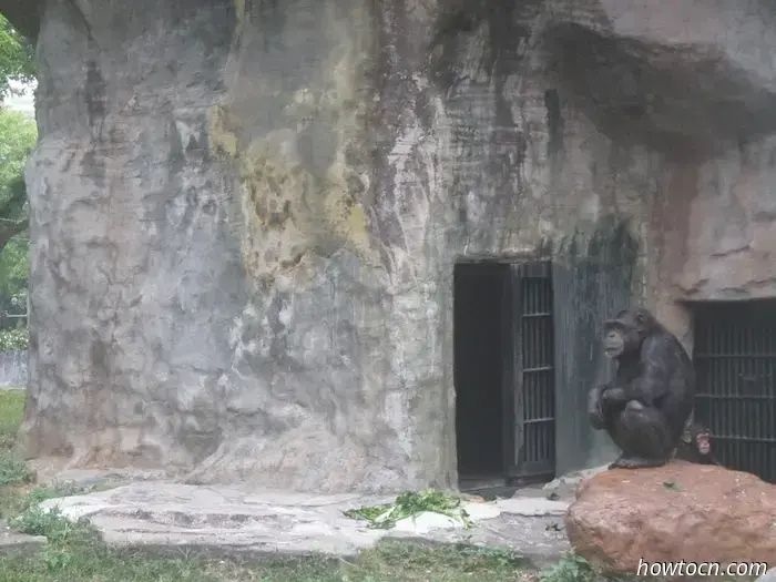Guangzhou Zoo und Ozeanwelt - Keine feste Adresse