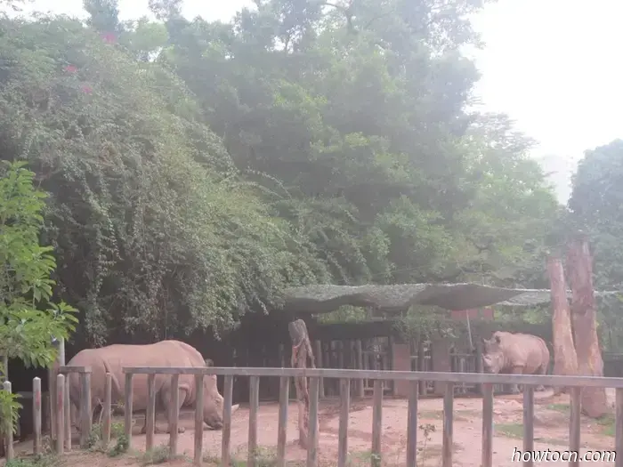 Guangzhou Zoo und Ozeanwelt - Keine feste Adresse