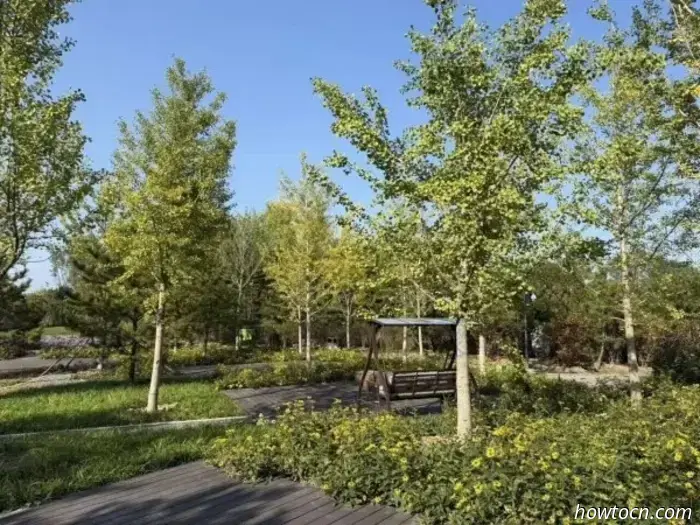 Vacaciones activas 8: Relajación en la naturaleza, música de cámara, piscina y más