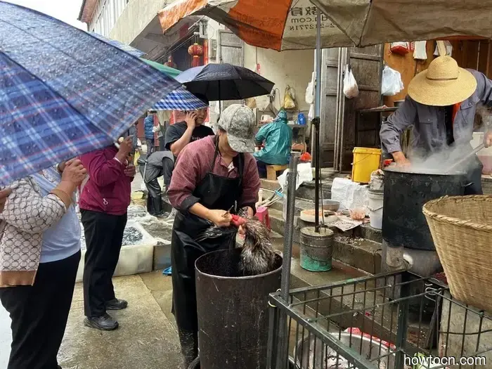 Pioneering New Paths in China: Xizhou and Shuanglang - Emerging Discoverers