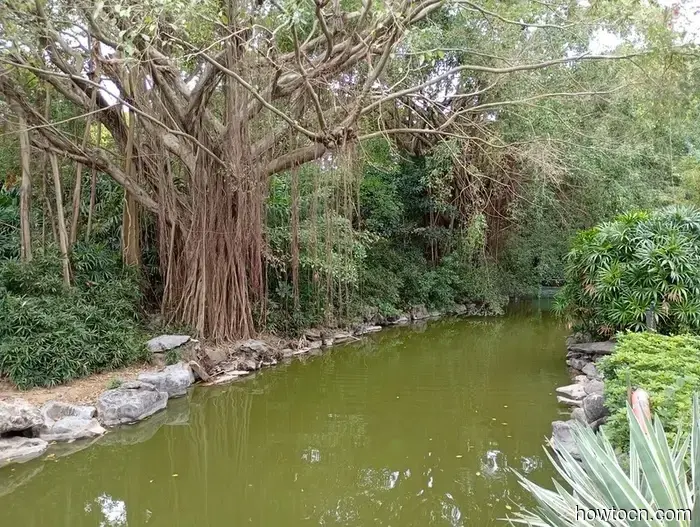 Vorrei che potessimo restare più a lungo. - Macao e Cina.