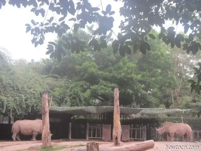 Guangzhou Zoo und Ozeanwelt - Keine feste Adresse
