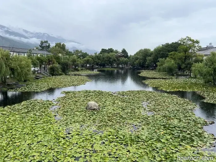 Pioneering New Paths in China: Xizhou and Shuanglang - Emerging Discoverers