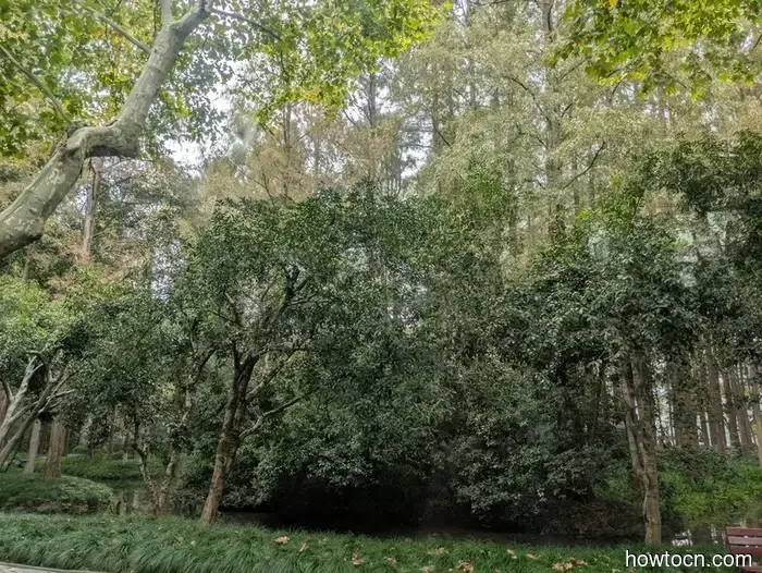 Hangzhou - Otoño 2025 e Invierno 2026