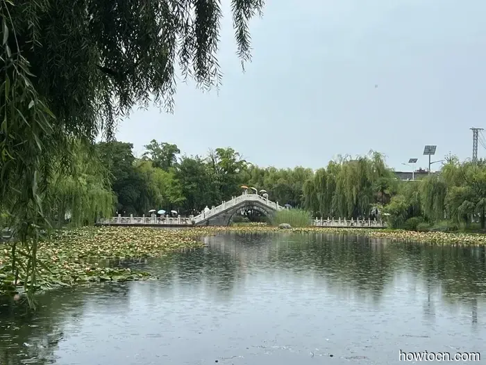 Pioneering New Paths in China: Xizhou and Shuanglang - Emerging Discoverers