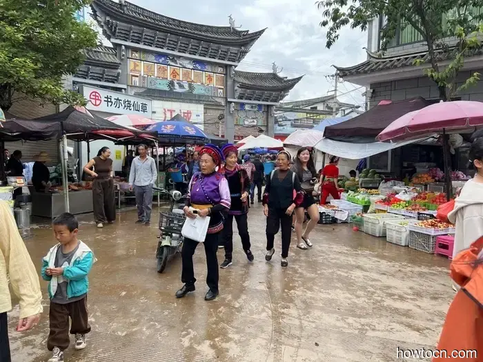 Pioneering New Paths in China: Xizhou and Shuanglang - Emerging Discoverers