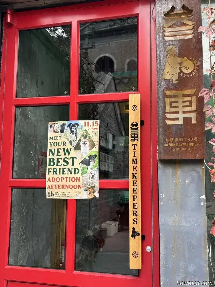 Feiern Sie über 300 Rettungen bei der Wohltätigkeitsgala von Furry Tales am 6. Dezember.