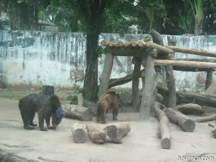 Guangzhou Zoo und Ozeanwelt - Keine feste Adresse